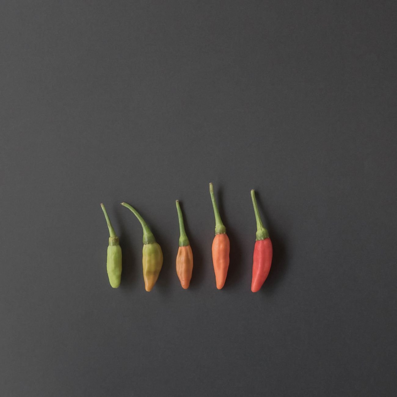 Colorful fresh chili peppers overhead on a dark background